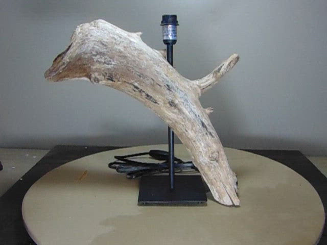 Driftwood piece with modern style table lamp video with 360 degree view