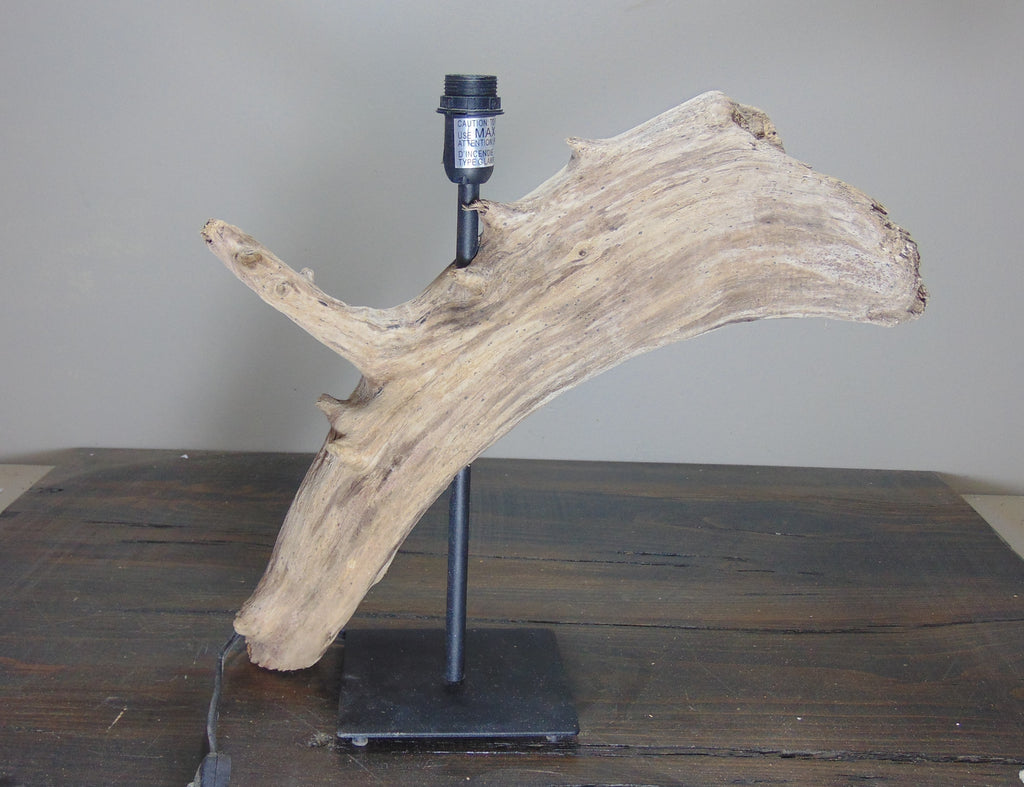 Driftwood piece with modern style table lamp